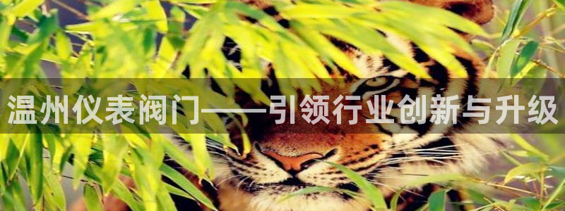 新宝gg109
