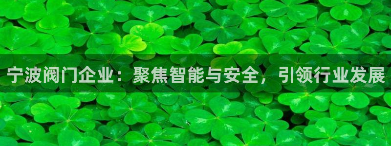 新宝gg运营88383