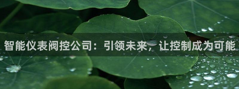 新宝GG用哪个网址登录