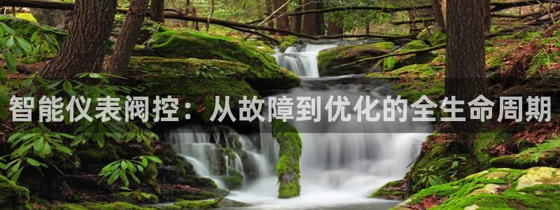 新宝GG冰冰
