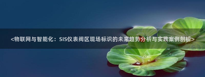 新宝gg佣金