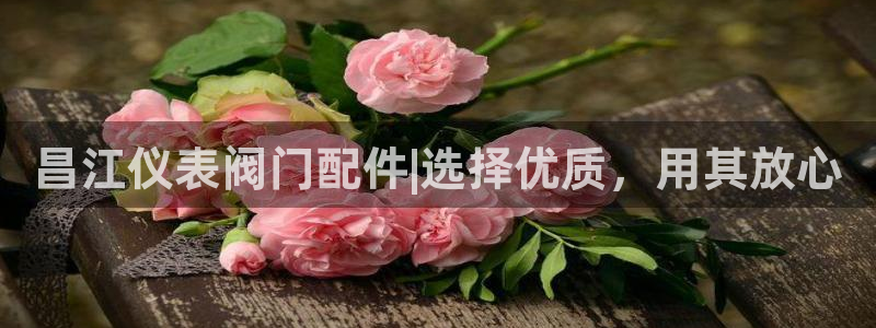 新宝gg手机登录官网