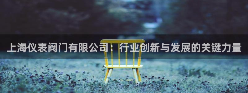 新宝gg招商致胜团队