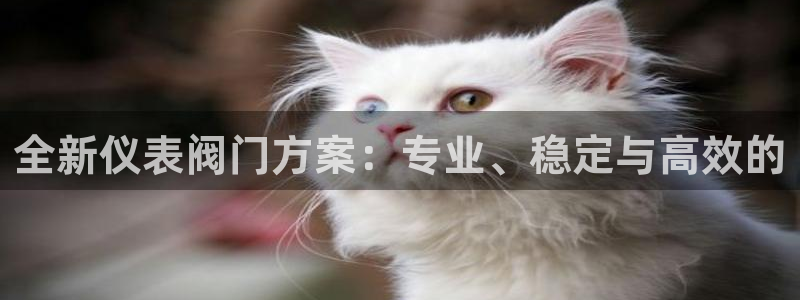 新宝gg手机注册官网