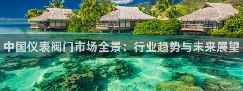 新宝gg走势
