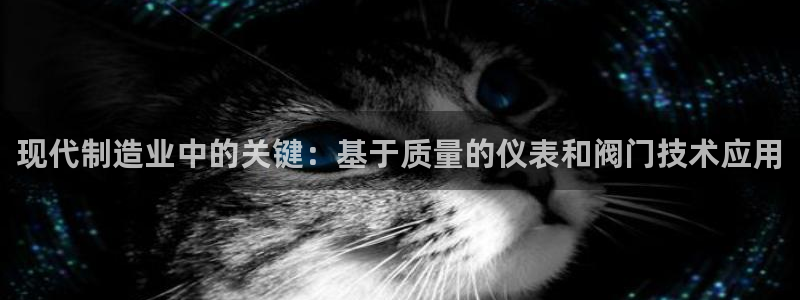 新宝gg找回账号