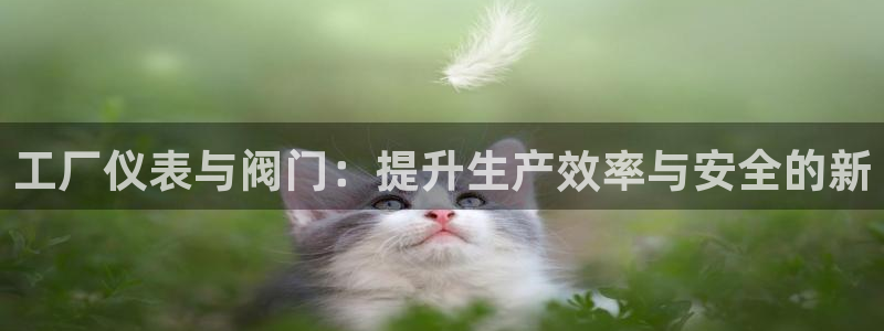 新宝gg娱乐注册