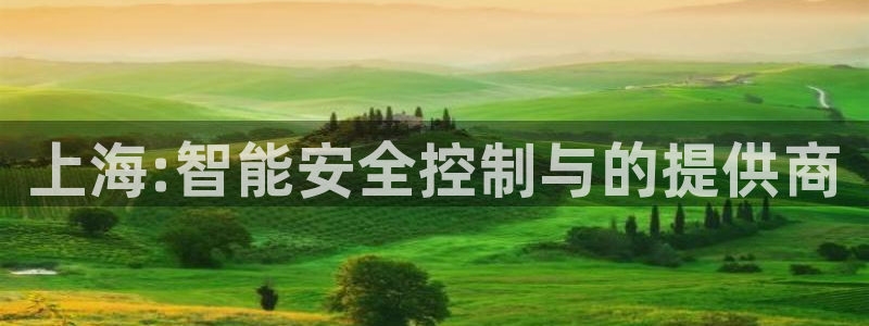 新宝gg评论