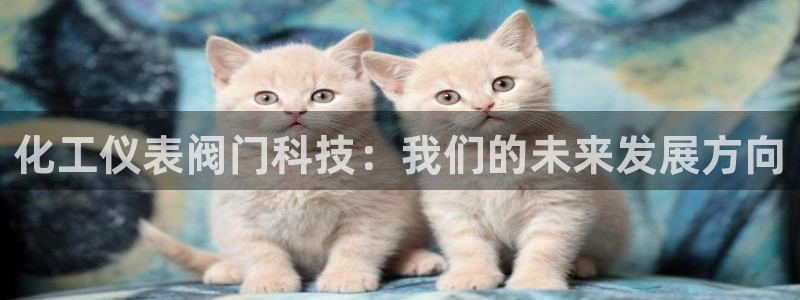 新宝新宝gg开户流程