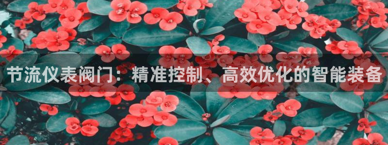 x新宝gg