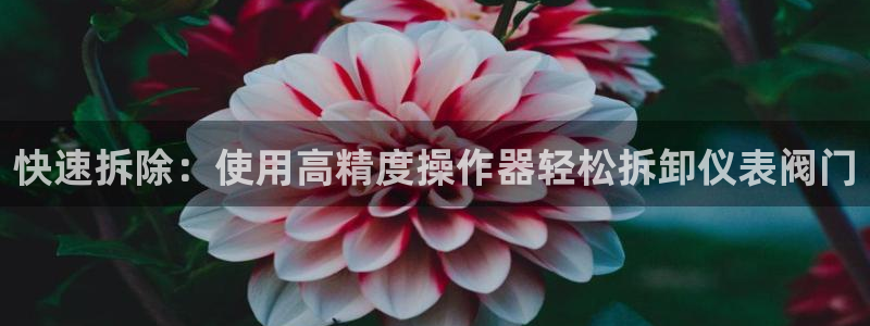 新宝GG之家