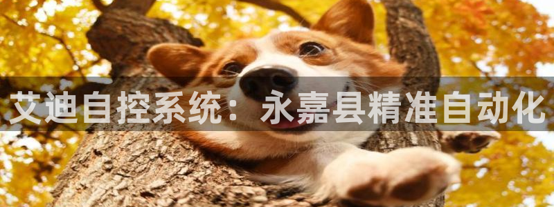 新宝gg平台下载安装
