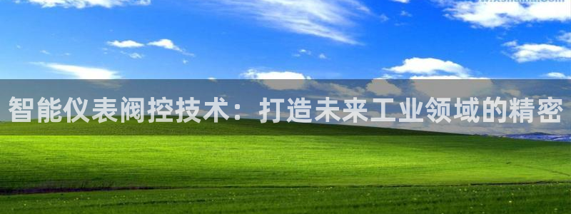 新宝gg怎样