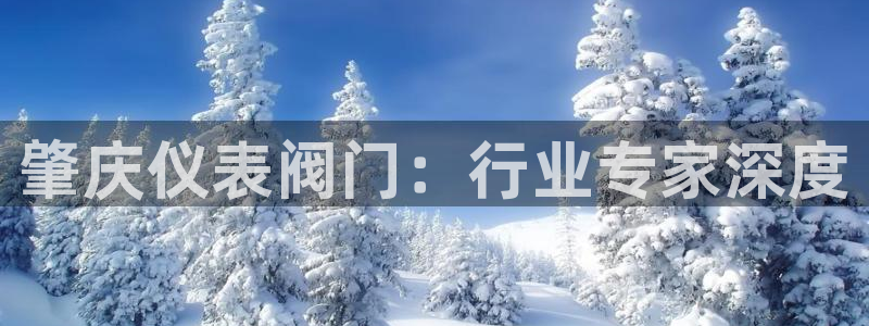 新宝.gg