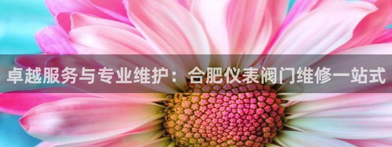 新宝GG反点