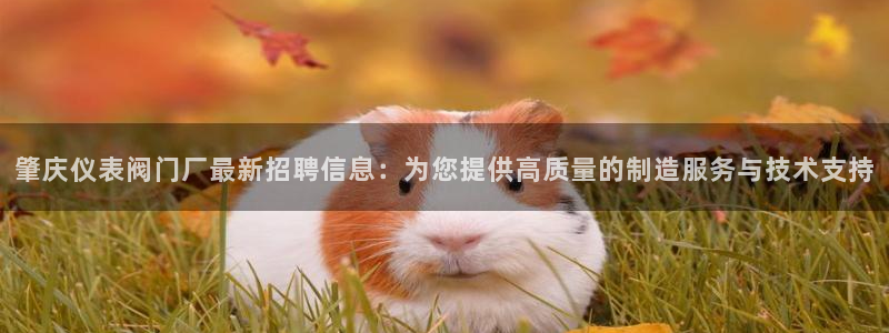 新宝gg有规律么