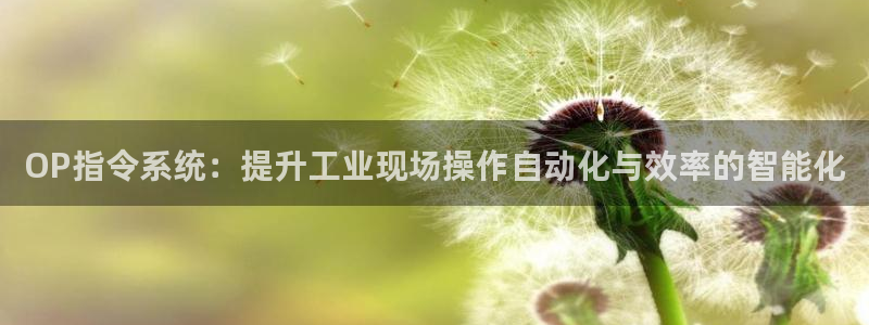 新宝gg联系