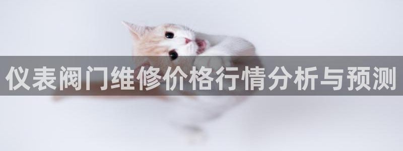 新宝皇冠gg