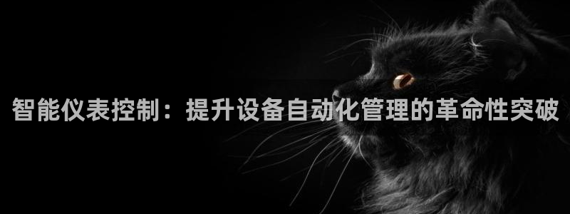 广东新宝电器gg