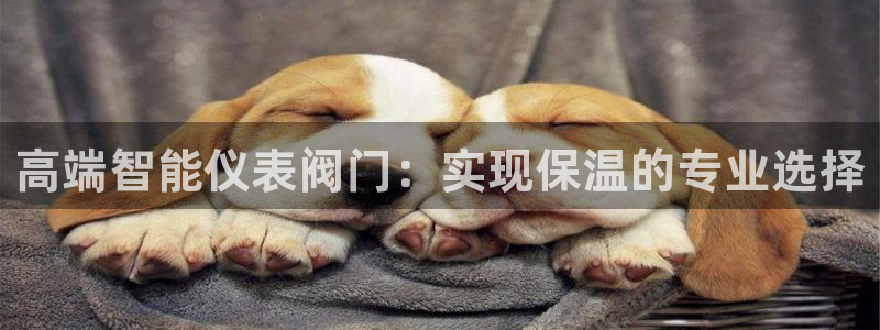 新宝gg 开户