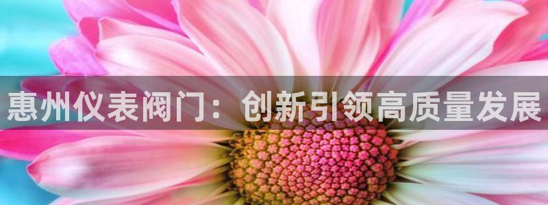 新宝gg创造奇迹下载