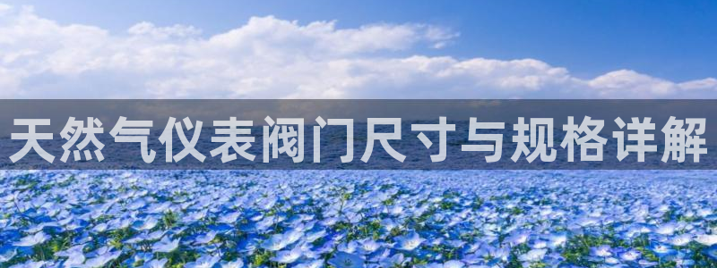 新宝gg娱乐-上鼎狐网