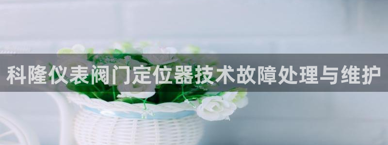 新宝.gg