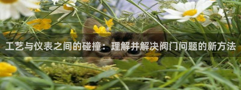 新宝gg创建奇迹