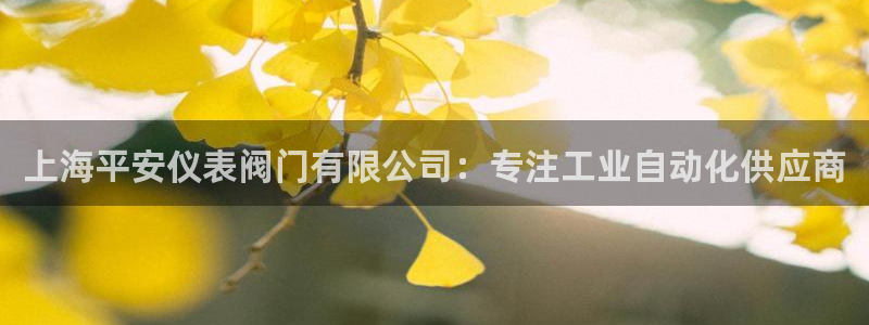 新宝gg平台首页