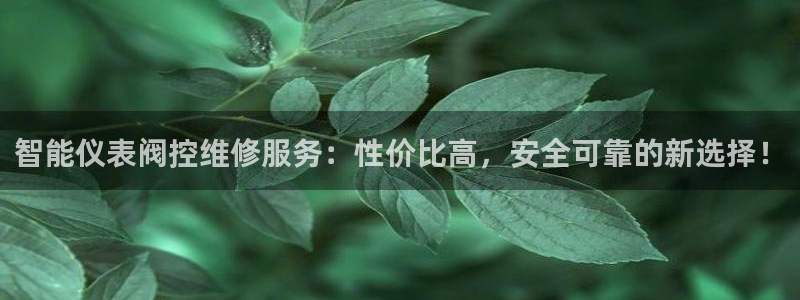 新宝gg找回账号