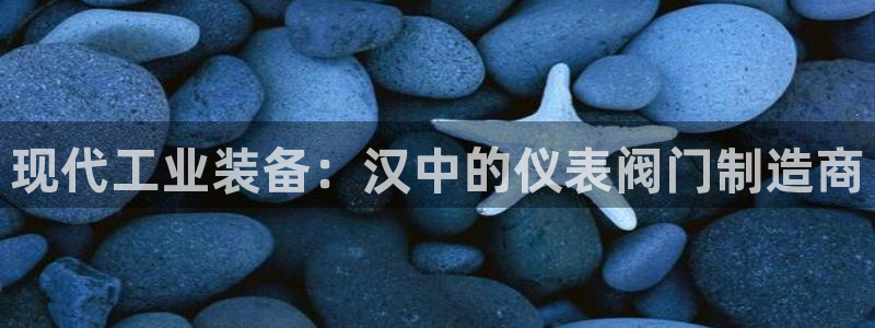 新宝gg成立