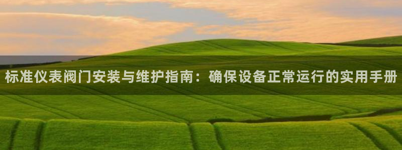 新宝gg怎么做代理