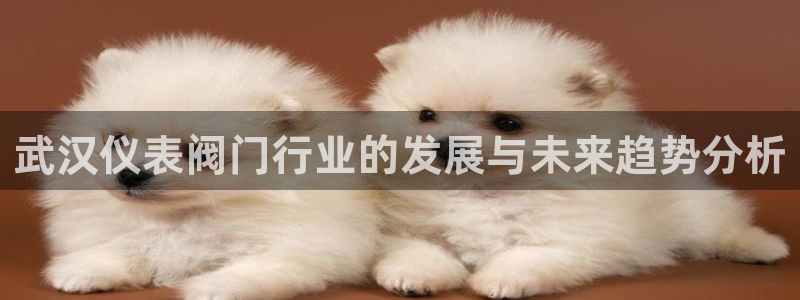 新宝gg招商42873