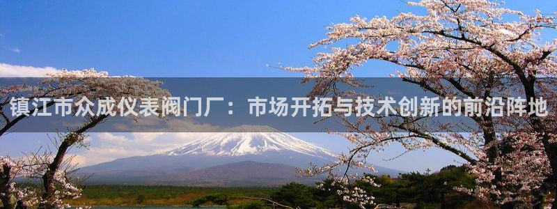 新宝gg是什么