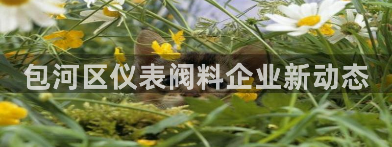 新宝gg干嘛