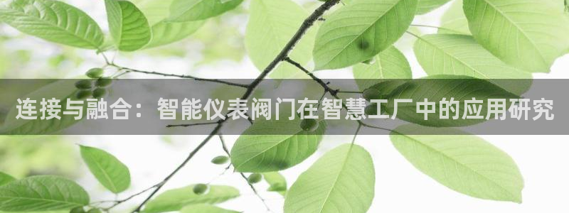 新宝gg招商