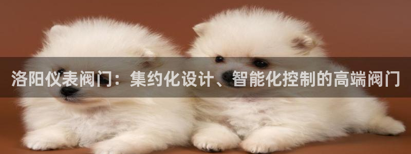 新宝gg返点模式