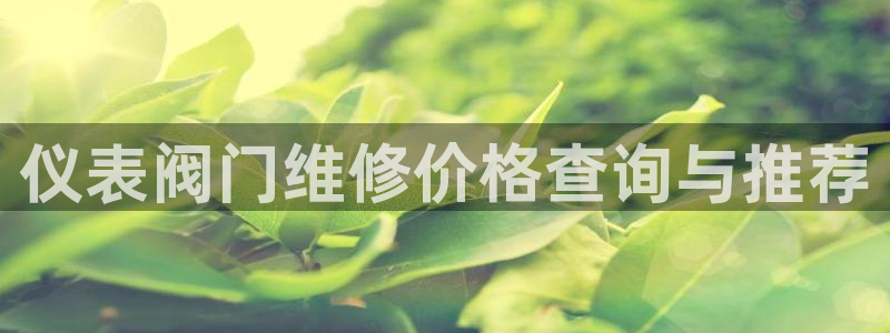 新宝gg违法