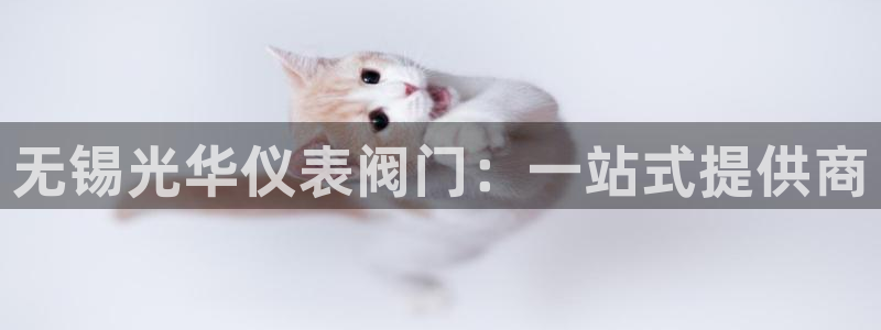 新宝gg 奇迹