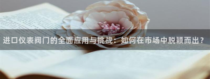 新宝gg主管