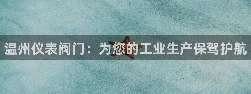 关于新宝GG
