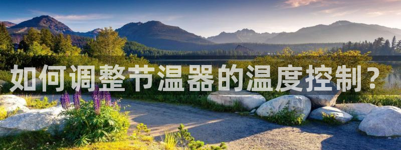 新宝gg网站
