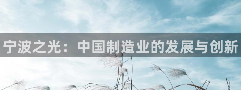 新宝GG电话