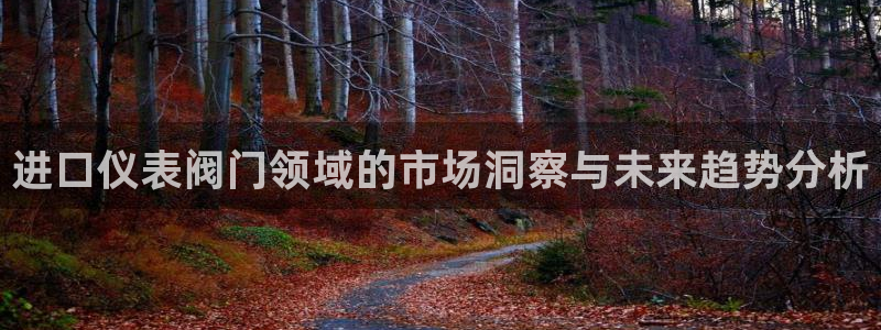 新宝gg是新宝几