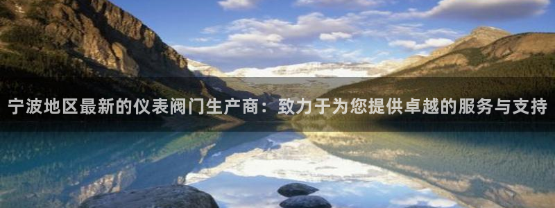 新宝gg平台登录