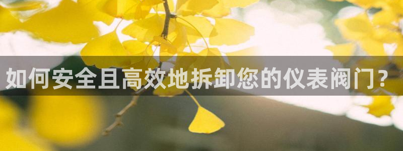 新宝gg注册q26880