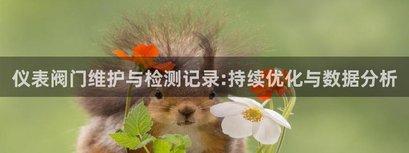 新宝gg怎么做代理