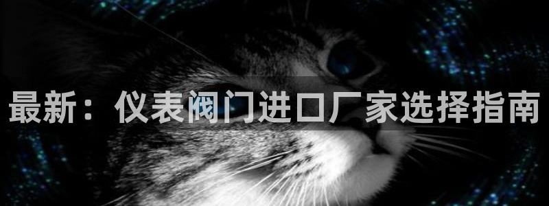 新宝 gg 登录注册