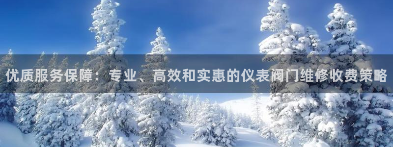 新宝gg金砖彩票