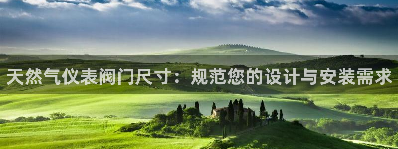 新宝gg平台登录